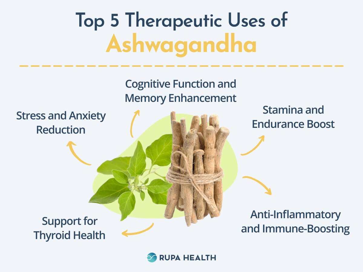 Ashwagandha 101: The Top 5 Proven Healing Benefits of this Ancient Herb